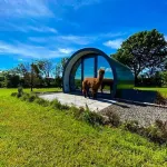 Black Knowe, Luxury Glamping Pods, Ballycastle Hotels in Armoy