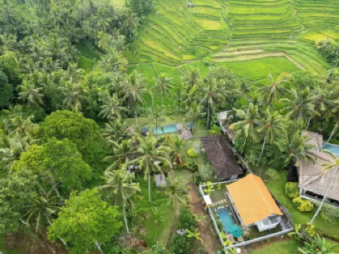 Green Sari Private Villa Hotels near Sambahan