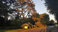 Beech Croft - 3 Bedroom Cottage, sleeps 6, near Perranporth, woodland setting