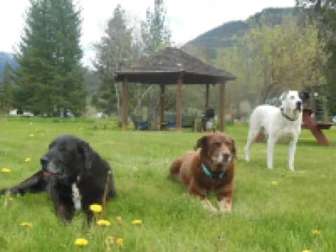 Clark Fork Lodge Hotels in Bonner County