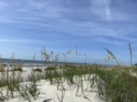 GOLF CART! Remodeled home near Old Town, Xbox! Hotels in Bluffton