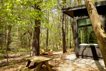 Exquisite Comfort with Outdoor Oasis - Charming, Modern Cabin Отели рядом с достопримечательностью «When Pigs Fly Bakery»