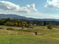 Horse farm with stunning mountain views!