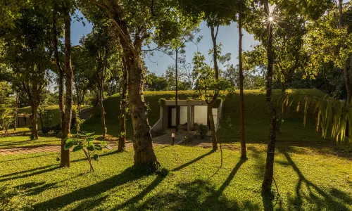Siri Nature Roost