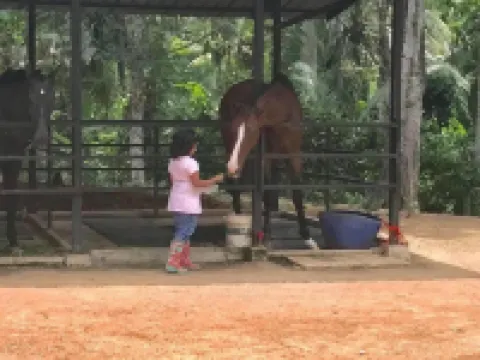 IQuest Colombo Hotels in Ruhunupura