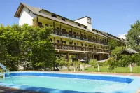 Hotel Pousada Dos Plátanos Hotels in Nova Petropolis