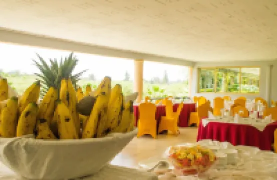 湖景度假村酒店