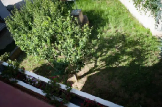 กาซาปาปาปิเอโตร โรงแรมใน