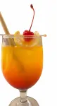 Ecostay Panglao Resort Hotel - Quầy bar