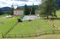 Park Hotel Sancelso Hotels in Bellamonte