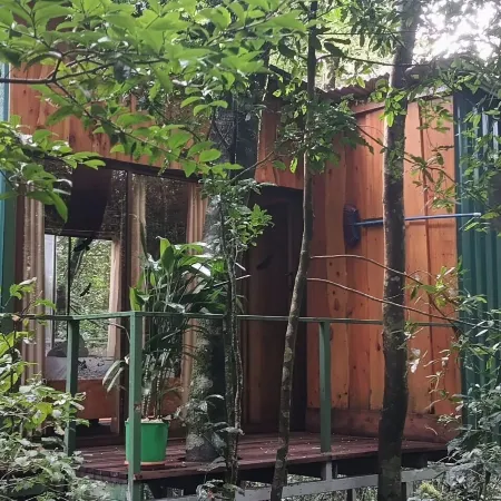 The Green Tree Lodge