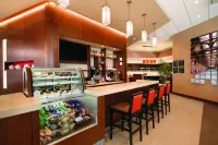 Hyatt Place Chicago-South/University Medical Center - Ocean View