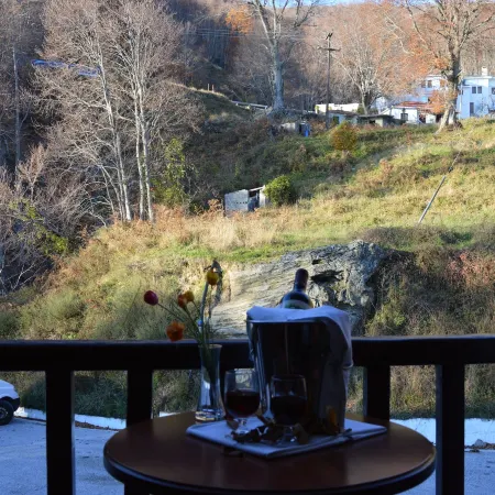 Hotel Hani Zisi