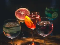 Boscovich Boutique Hotel Hotels in Podgorica