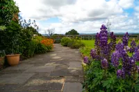 Higher Farm Hotels in Barton