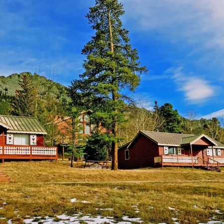 Dao House