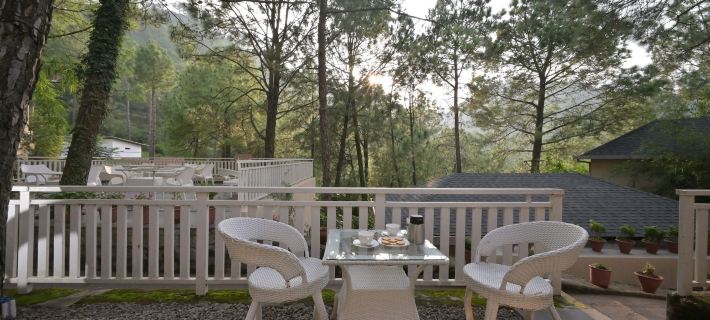 Jungle Lodge Resort Hoteles en Distrito de Solan