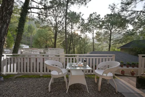 Jungle Lodge Resort Hotels in Solan