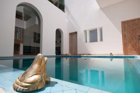 Riad Zyo