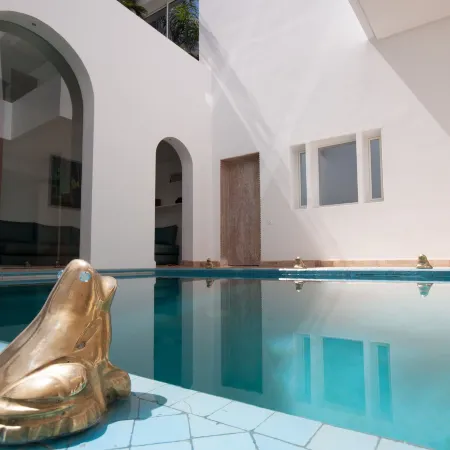 Riad Zyo