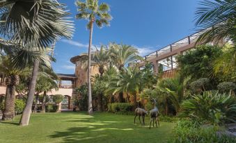 Elba Estepona Gran Hotel & Thalasso Spa
