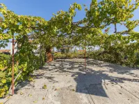 Apartments Irena Hotels in Tkon