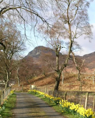 Crubenbeg Country House Отели в г. Ньютонмор
