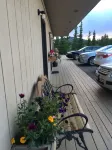 Denali Park Hotel Hotels in Healy