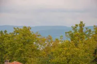 Room Room Motel Hotels in Mahmudiye