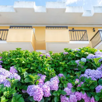 D. Afonso Hotel & Spa
