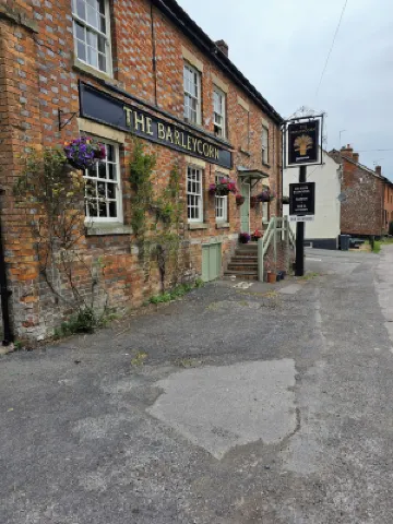 大麥粒 馬爾堡酒店