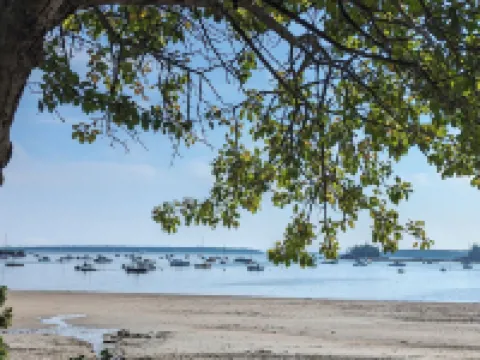 Woodland Apartments - Acadia National Park Hoteles en Tremont