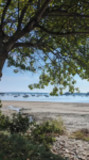 Woodland Apartments - Acadia National Park