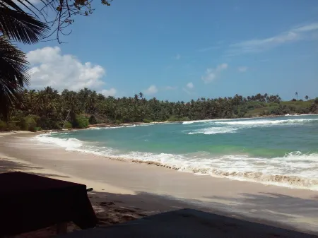 Nest Residence - Hostel