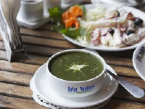 ティー バレー リゾート ムンナルのホテル