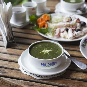 Tea Valley Resort, Munnar