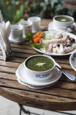 Tea Valley Resort, Munnar