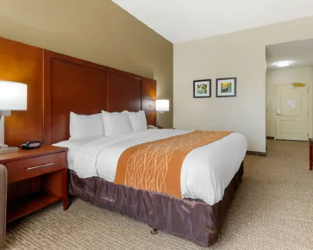 コンフォート イン & スイーツ コーディール コーディールのホテル