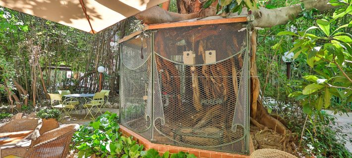 Le Windsor, Jungle Art Hotel Hotels in Nice