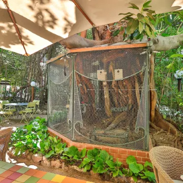 Le Windsor, Jungle Art Hotel