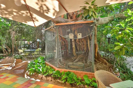 Le Windsor, Jungle Art Hotel