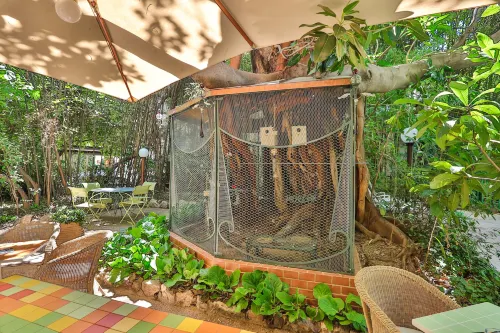 Le Windsor, Jungle Art Hotel Hotels in Nice