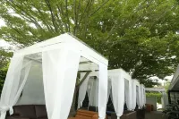 Harpoon House - Homestays