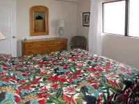 Direct Oceanfront Valley Isle Resort 1009