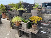 Habitaciones Eco-Terrazas Hotels in Mixco