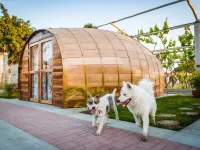 Viñedo Sotelo - Hospedaje y Glamping Hoteles en Ica