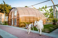 Glamping Toneles Y VIÑEDOS