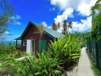 Little Diamond Jungle Home, Panoramic Ocean Views, 2 Verandas &Tropical Garden Hotels near Bathsheba Beach