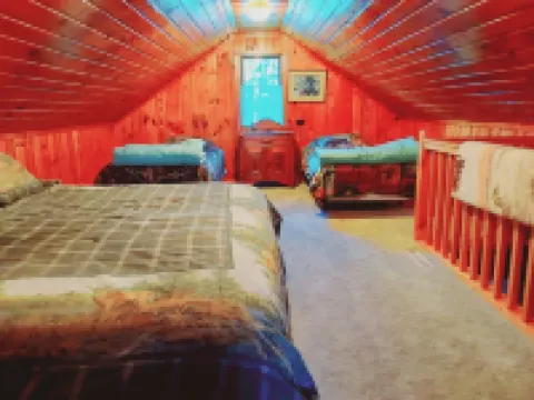 Cabin in the Heart of the Huron National Forest