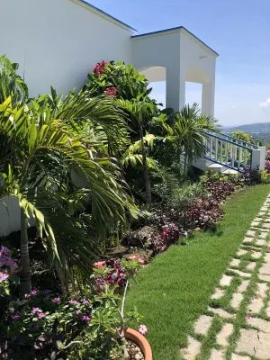 Hilltop Studio with ocean views, free daily breakfast and airport pickup.